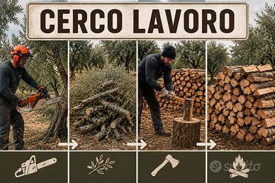 Taglio e preparazione legna