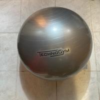 TECHNOGYM WELLNESS BALL TRAINING