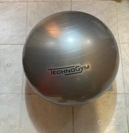 TECHNOGYM WELLNESS BALL TRAINING