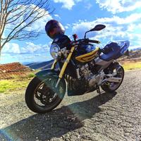 Honda hornet 600