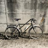 Airone Rampichino Country