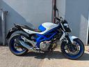 suzuki-gladiud-650
