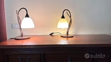 Camera da letto: Coppia Lampade fa comodino