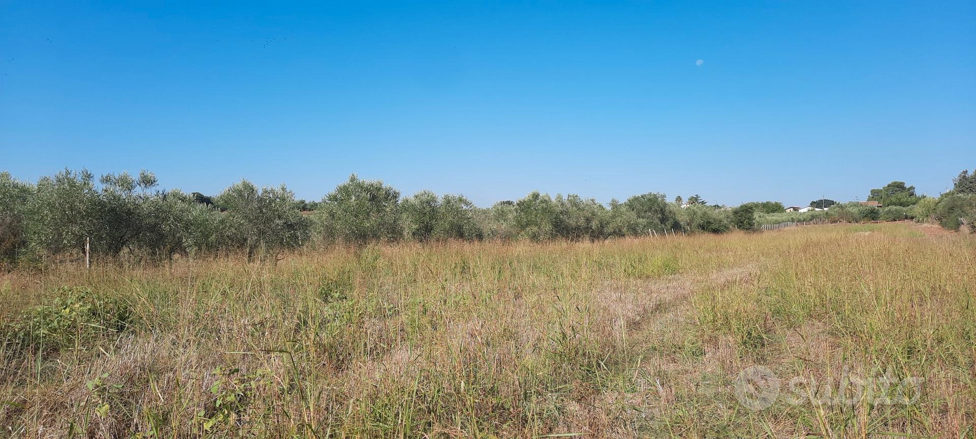 terreno a Costa Baria - Vista 3