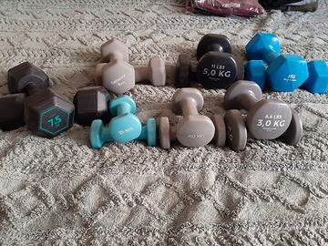 serie manubri palestra