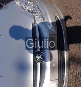 Peugeot 307 hdi ricambi