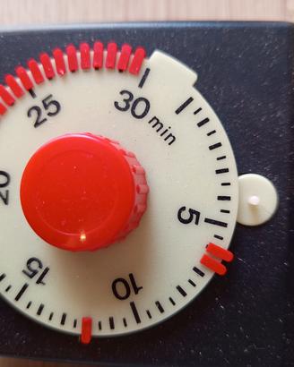 Temporizzatore timer Durst coltim