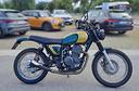 mash-five-hundred-scrambler