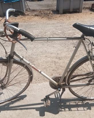 Bicicletta professionale uomo Minardi
