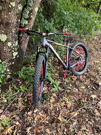 mtb whistie