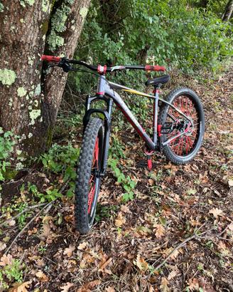 mtb whistie