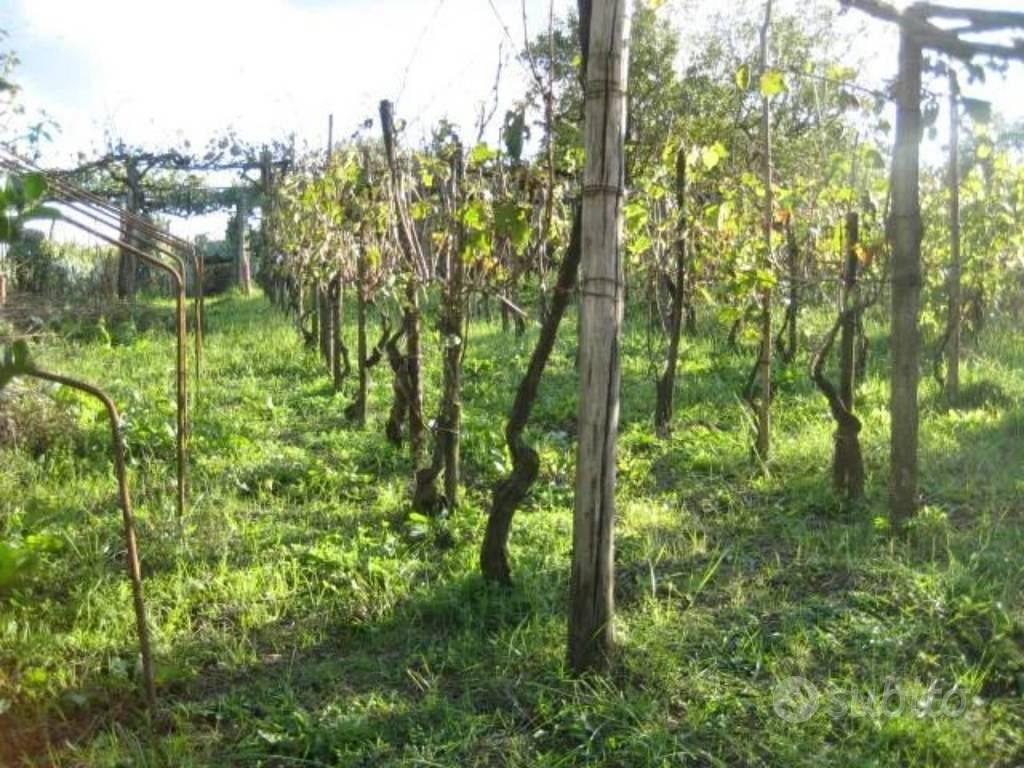 Appartamento – Ceccano, Frosinone - Altro