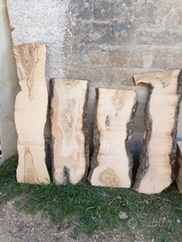 Legno di ulivo (alburno) x pirografia