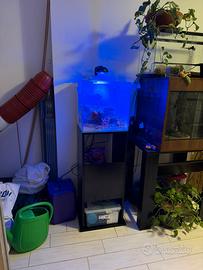 Acquario marino completo