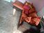 Immagine 3