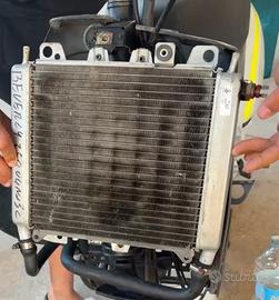 Radiatore Beverly 250