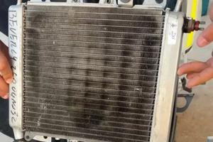 Radiatore Beverly 250