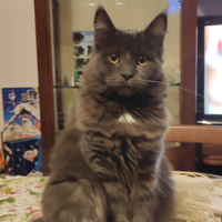 .10 messi colore blu nero