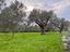 Immagine 13