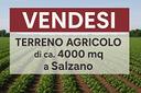 terreno-agricolo-a-salzano-rif-gl1599