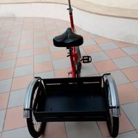 bici triciclo da adulti