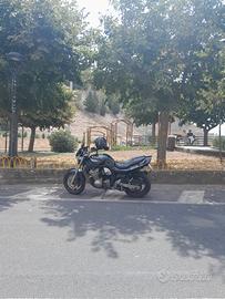 Suzuki GSF 600 Bandit - 1996 assicurazione storica