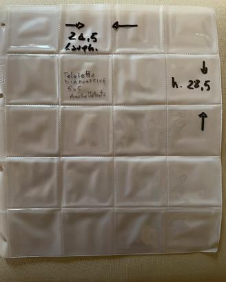 Plasticoni a tasche per diapositive 24x36