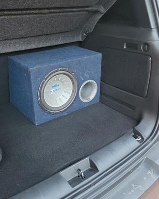 Subwoofer axton