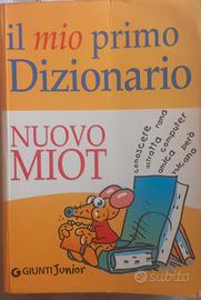 dizionario italiano semplice