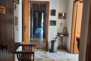  Appartamento 