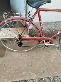 bici da uomo