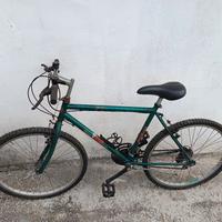 Bicicletta Mountain bike 