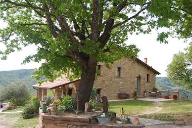 Casale in sasso per vacanze