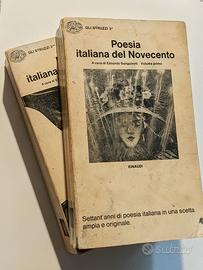 Poesia italiana del Novecento, Sanguinetti 1972