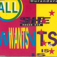 DURAN DURAN All She Wants Is (RARE)