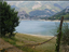 Immagine 6