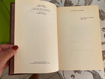 Romanzo la scelta di sophie Styron