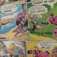 cartellina Masters of the Universe 