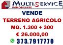 rif-736-terreno-agricolo-cavallino-treporti