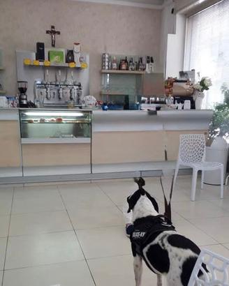 Bancone Mt 3 lineari