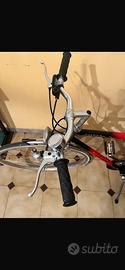Biciclette 100€ CADAUNA