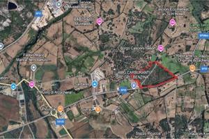 Terreni agricoli in prossimità di Arzachena