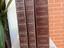 Immagine 4