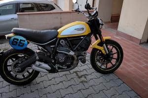 Ducati scrambler 800