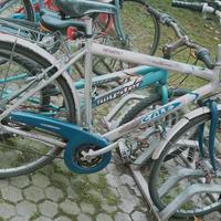 BiciCletta da uomo con marce 