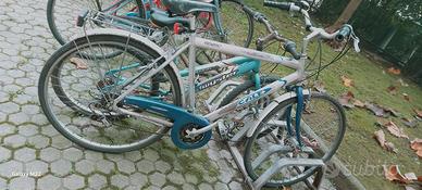 BiciCletta da uomo con marce 