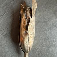 Federico Buccellati  argento 925