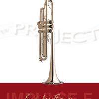 Tromba NM PROJECT «Impulse F» (2)