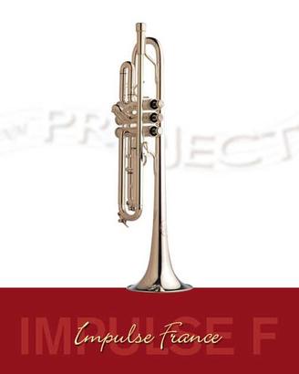 Tromba NM PROJECT «Impulse F» (2)