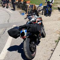 Borse laterali ktm duke 790 890